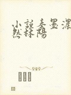 小说秦墨浓秦嫣然林阳