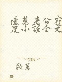 亿万老公宠妻无度小说全文