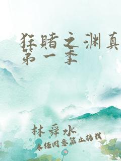 狂赌之渊真人版第一季