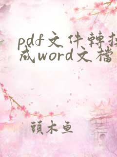 pdf文件转换成word文档网站