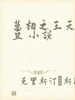 万相之王天蚕土豆 小说