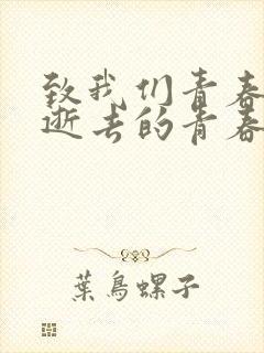 致我们青春终将逝去的青春演员表