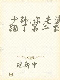 少帅,你老婆又跑了第二季