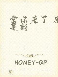 当你老了 原唱是谁