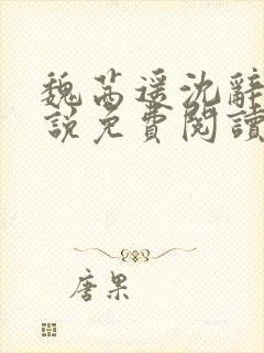 魏茜遥沈辞琛小说免费阅读最新章节