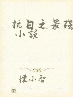 抗日之最强战兵 小说