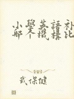 小学英语补习班哪个机构比较好