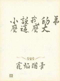 小说我的弟弟怎么这么大