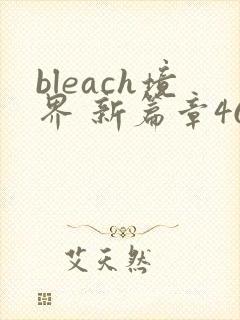 bleach境界 新篇章46集免费观看