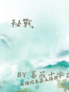 秘战