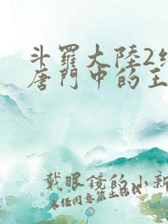 斗罗大陆2绝世唐门中的王冬