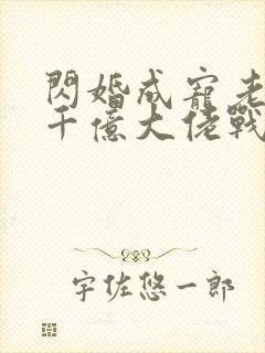 闪婚成宠老公是千亿大佬战胤海