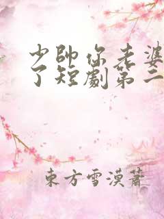 少帅你老婆又跑了短剧第二季