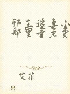 邪王追妻小说在哪里看免费