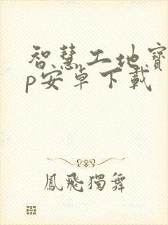 智慧工地宝app安卓下载