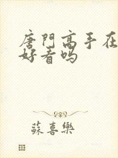 唐门高手在异世好看吗