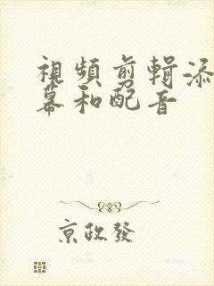 视频剪辑添加字幕和配音