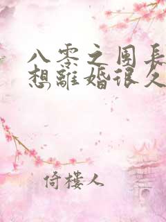 八零之团长夫人想离婚很久了