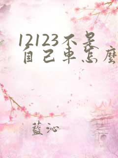 12123不是自己车怎么查违章