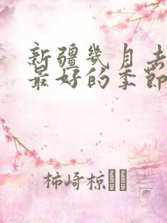 新疆几月去旅游最好的季节