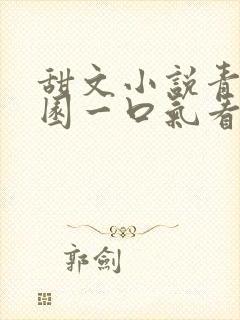 甜文小说青春校园一口气看完