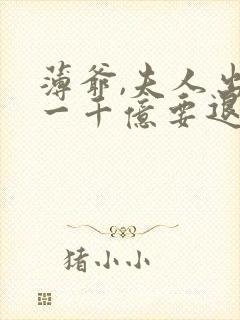 薄爷,夫人出价一千亿要退婚免费阅读全文