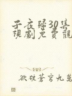 子夜归30集电视剧免费观看全集高清