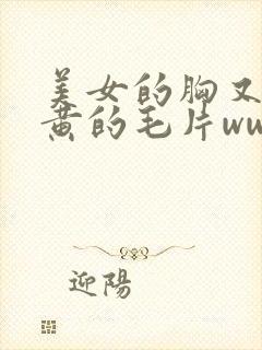 美女的胸又大又黄的毛片www