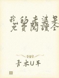 我的老婆是总裁免费阅读全文