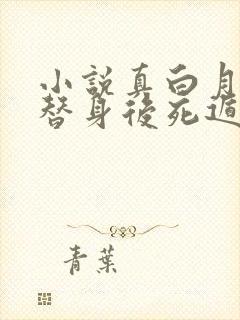 小说真白月光被替身后死遁了更新