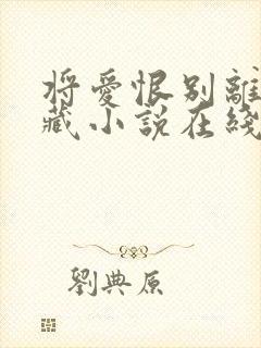 将爱恨别离都深藏小说在线阅读