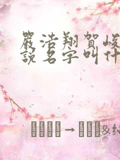 严浩翔贺峻霖小说名字叫什么