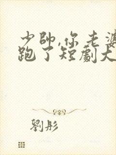 少帅,你老婆又跑了短剧大结局