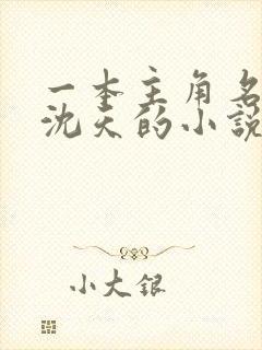 一本主角名字叫沈天的小说