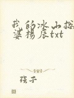 我的冰山总裁老婆杨辰txt