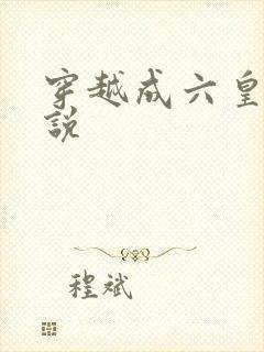 穿越成六皇子小说