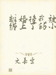 离婚后我被前夫缠上了的小说