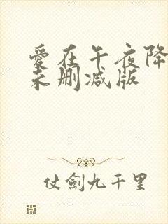 爱在午夜降临前未删减版