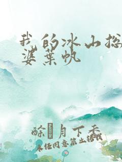 我的冰山总裁老婆叶帆