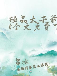 极品太子爷txt全文免费下载