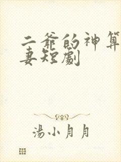 二爷的神算小萌妻短剧