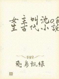 女主叫沈o的重生古代小说