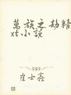 万族之劫精校txt小说