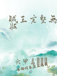 贼王完整无删减版