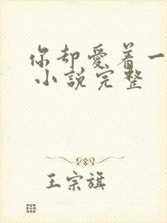 你却爱着一个他 小说完整