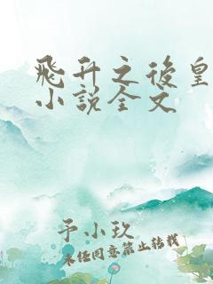 飞升之后皇甫奇小说全文