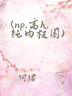 (np,高h,纯肉校园)