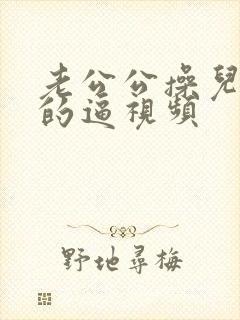 老公公操儿媳妇的逼视频