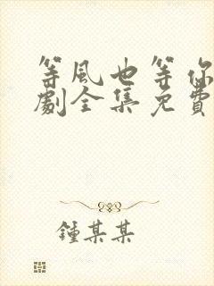 等风也等你电视剧全集免费观看