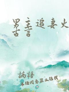 男主追妻火葬场古言